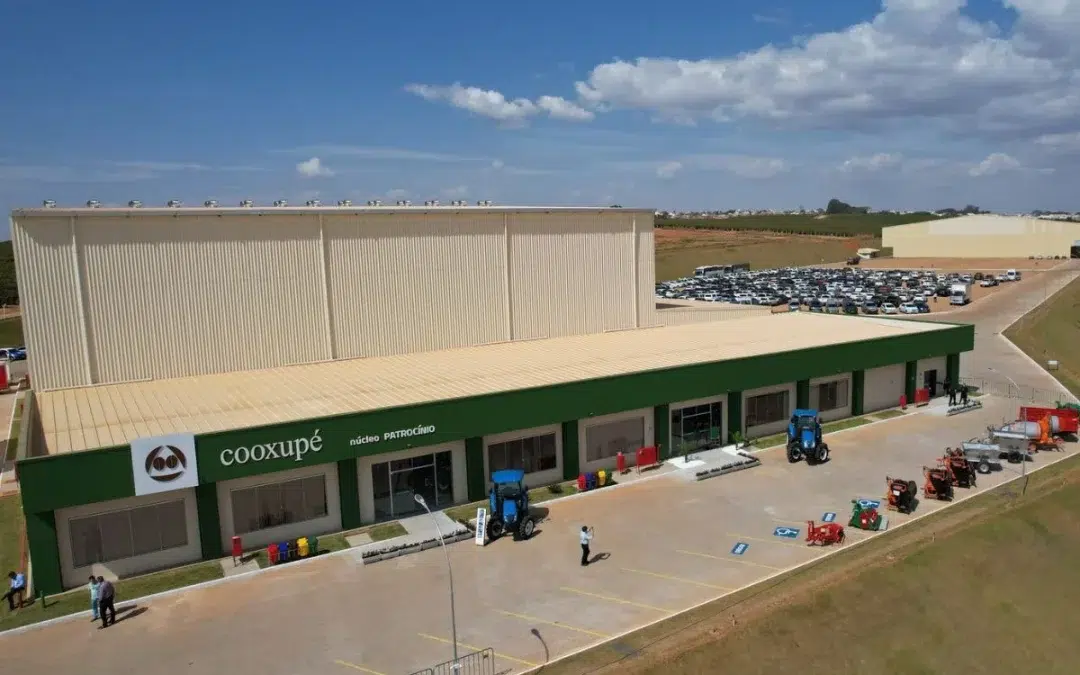 Cooxupé reafirma expectativa de safra igual ou menor que ano passado