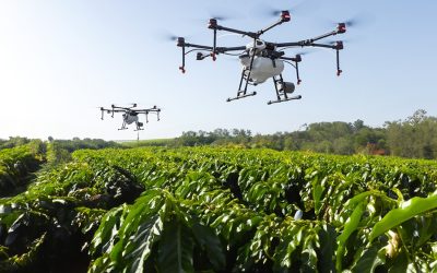 Novo protetor solar para plantas aumenta produtividade