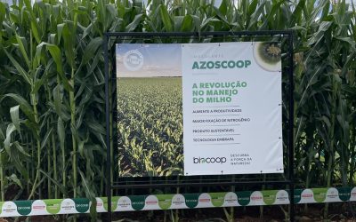 Lançamento de bioinsumo inovador para a cultura do milho
