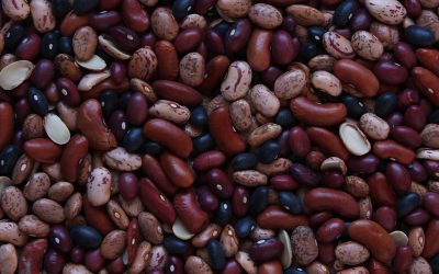 Desafios na colheita e preços do feijão no Brasil