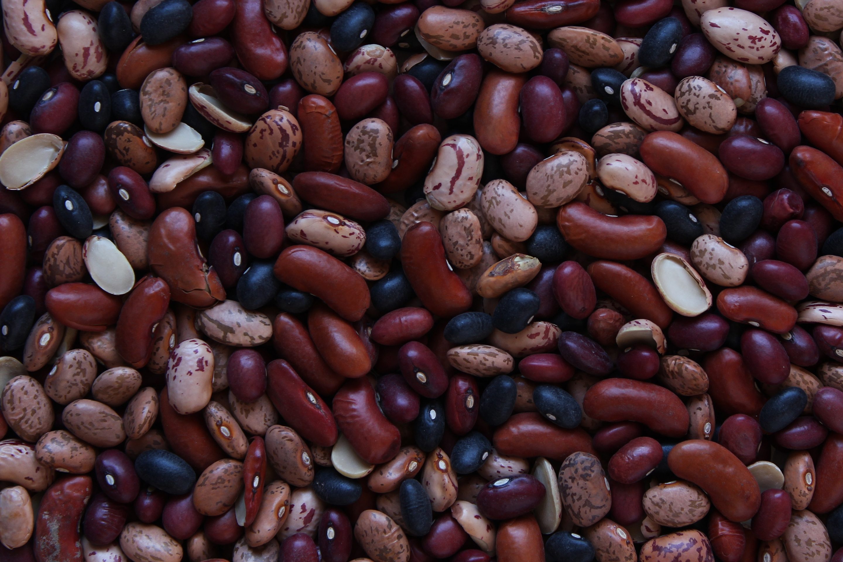 mixed-dried-beans-background-2024-12-06-05-43-40-utc