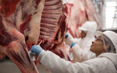 Brasil e Vietnã fortalecem laços comerciais com novo acordo