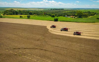 Preço do carbono na agricultura: estudo da Embrapa traz valor inédito
