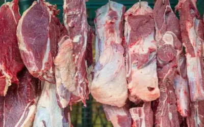 Exportações de carne bovina batem recorde histórico em julho