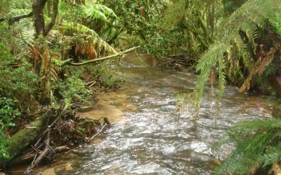 Uso inadequado do solo afeta água no Sul de Minas, alerta Embrapa