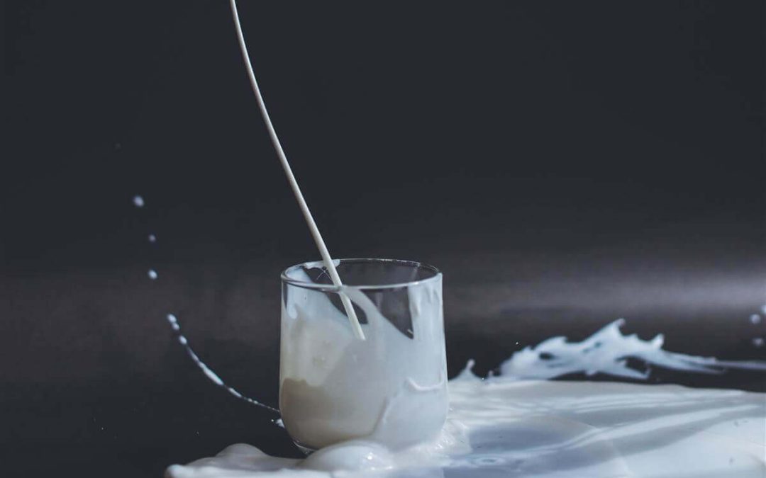 Pesquisa da Esalq/USP investiga presença de micotoxinas no leite e avalia riscos à saúde