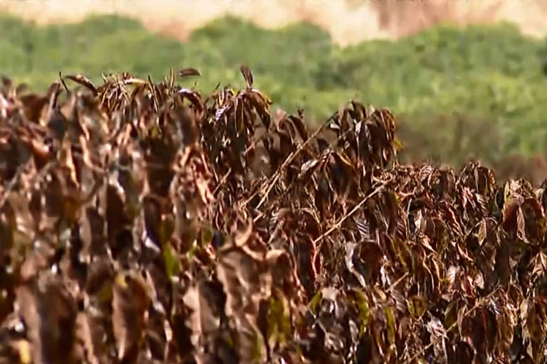 162691072560f8b005cd5e4_1626910725_3x2_md