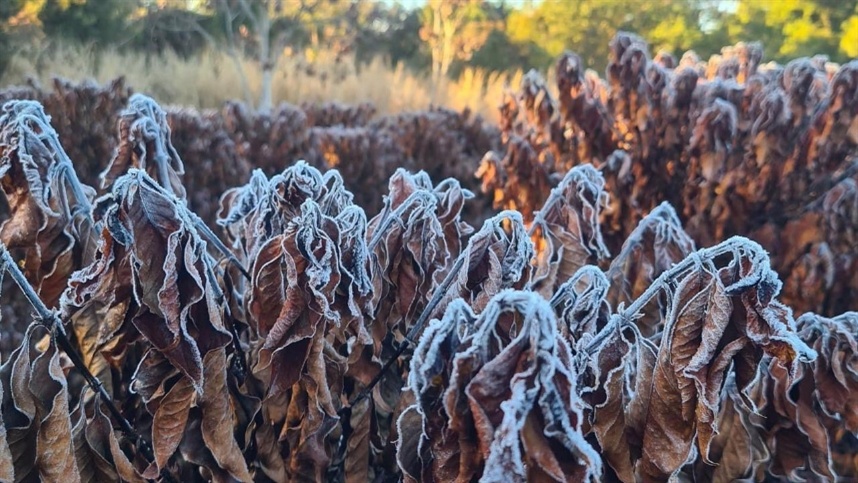 6f336dd9df074c99b74abac4b58ca1b7_858x483