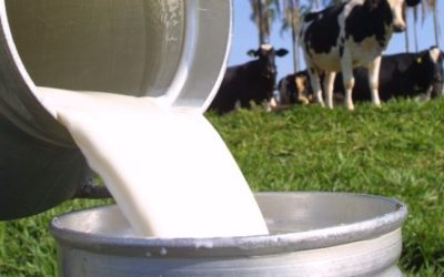 Estoques elevados pressionam preço do leite no campo pelo oitavo mês consecutivo