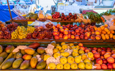 Setor de frutas avança nas exportações no início de 2025