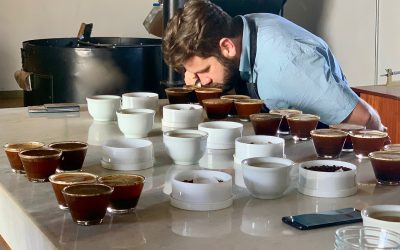 Brasil adota novo protocolo global para avaliação de cafés especiais