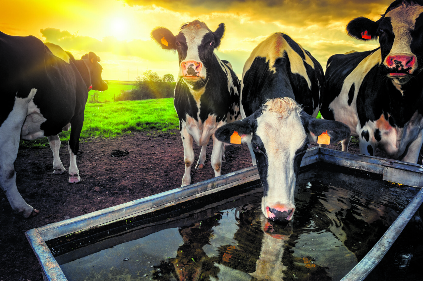 shutterstock_164350595