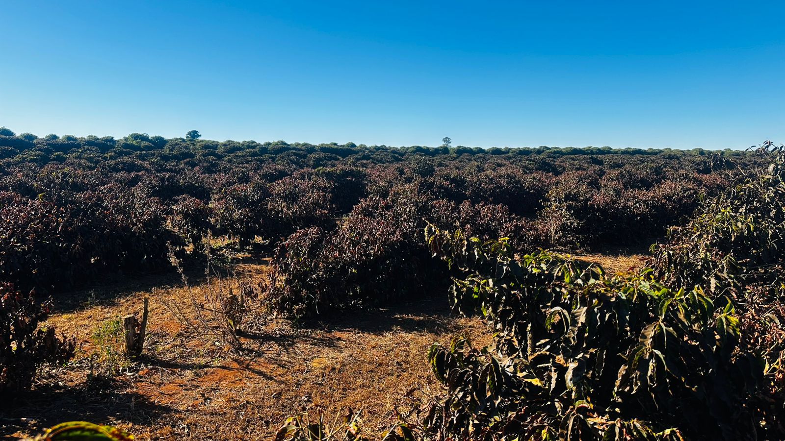 WhatsApp Image 2025-08-13 at 14.41.54