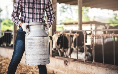 Leite: preço ao produtor cai pelo sétimo mês consecutivo