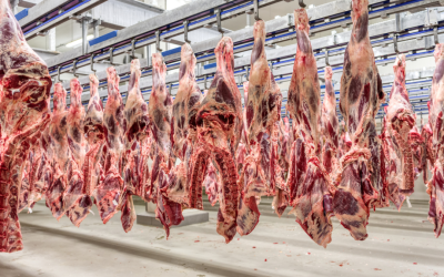 Brasil supera EUA como maior produtor de carne bovina do mundo