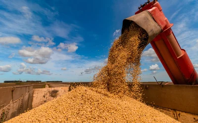 Safra 2025/26: produção brasileira de grãos deve atingir 354,4 milhões de toneladas