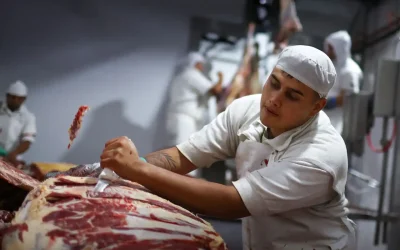 China reduz em 80% compras de carne bovina brasileira