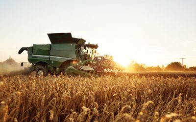 Grupo Imaculada: inovação, integração e um modelo que vem redesenhando o mercado de soja no Brasil