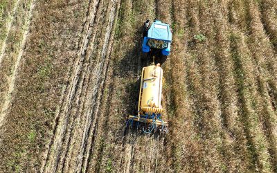 Sistema digital amplia rastreabilidade no uso de dejetos suínos como biofertilizante